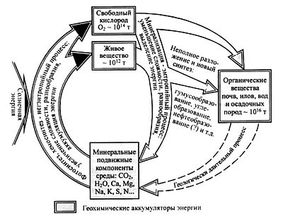 Схема биотического круговорота веществ
